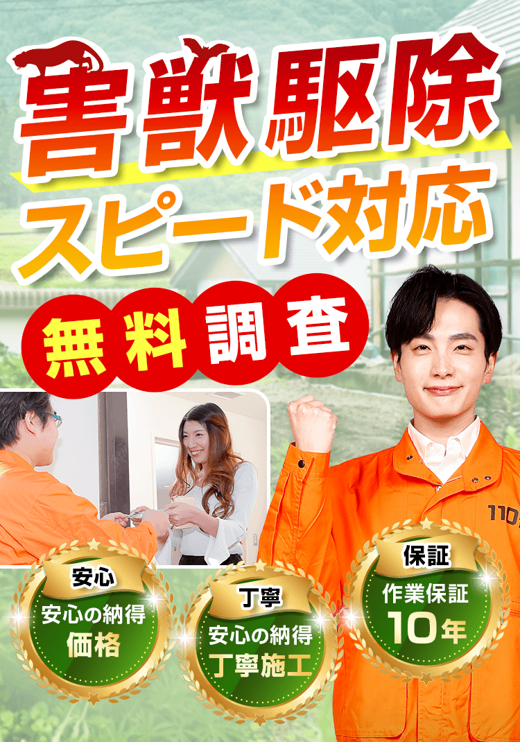 害獣駆除110番 害獣駆除スピード対応無料調査