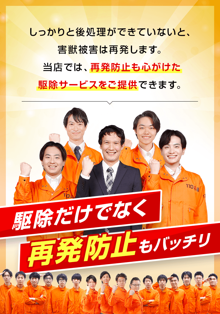 駆除だけでなく再発防止もバッチリ