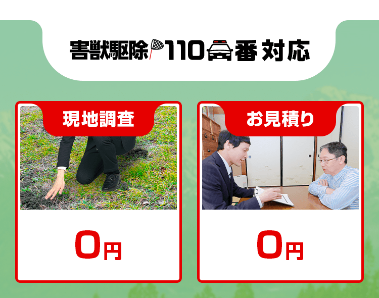 害獣駆除110番対応